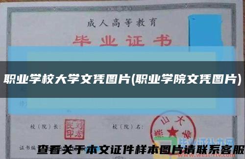 职业学校大学文凭图片(职业学院文凭图片)缩略图