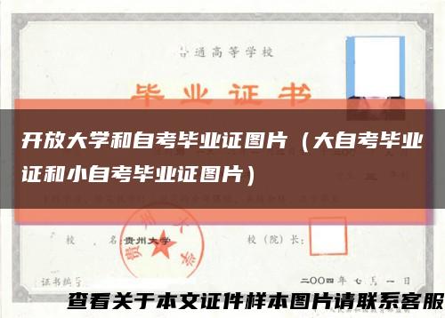 开放大学和自考毕业证图片（大自考毕业证和小自考毕业证图片）缩略图