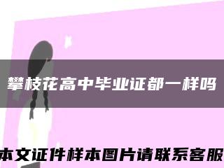 攀枝花高中毕业证都一样吗缩略图