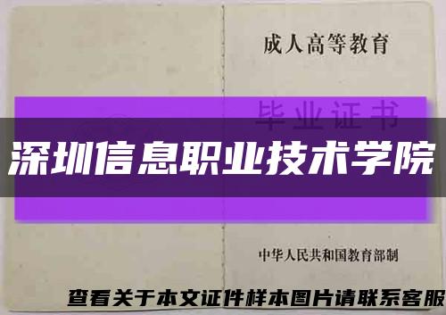 深圳信息职业技术学院缩略图