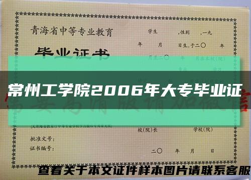 常州工学院2006年大专毕业证缩略图