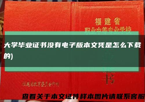 大学毕业证书没有电子版本文凭是怎么下载的)缩略图