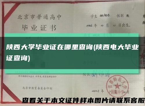 陕西大学毕业证在哪里查询(陕西电大毕业证查询)缩略图