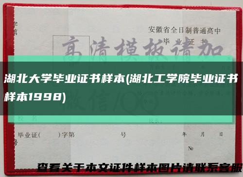 湖北大学毕业证书样本(湖北工学院毕业证书样本1998)缩略图