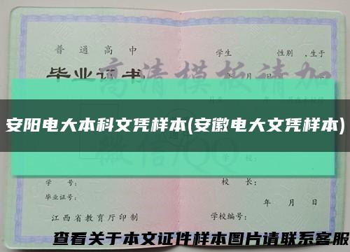 安阳电大本科文凭样本(安徽电大文凭样本)缩略图