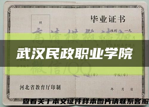 武汉民政职业学院缩略图