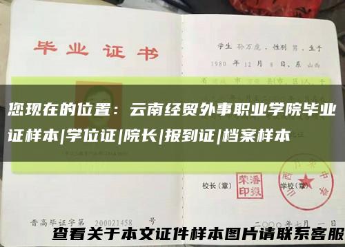 您现在的位置：云南经贸外事职业学院毕业证样本|学位证|院长|报到证|档案样本缩略图