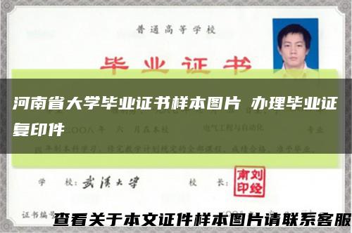 河南省大学毕业证书样本图片​办理毕业证复印件缩略图