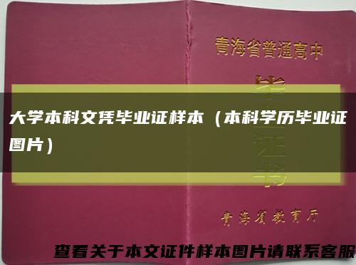 大学本科文凭毕业证样本（本科学历毕业证图片）缩略图