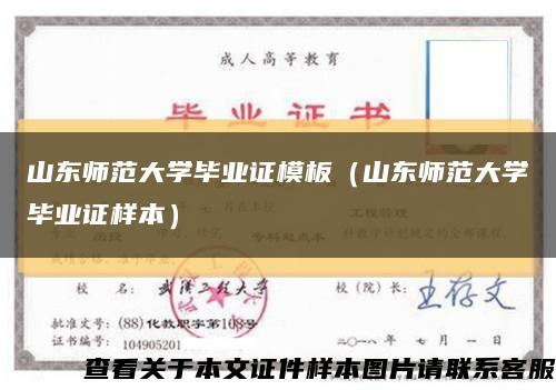 山东师范大学毕业证模板（山东师范大学毕业证样本）缩略图