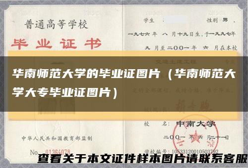 华南师范大学的毕业证图片（华南师范大学大专毕业证图片）缩略图