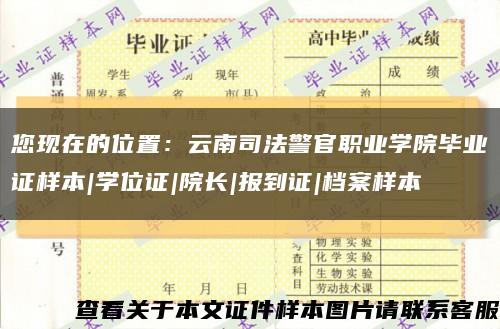 您现在的位置：云南司法警官职业学院毕业证样本|学位证|院长|报到证|档案样本缩略图