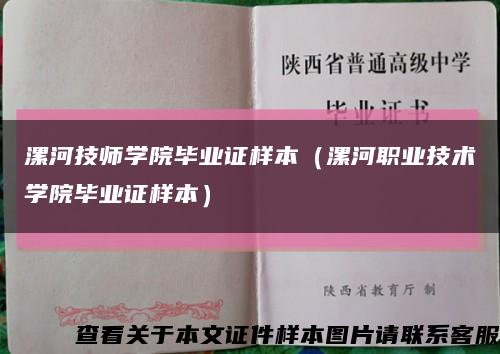 漯河技师学院毕业证样本（漯河职业技术学院毕业证样本）缩略图