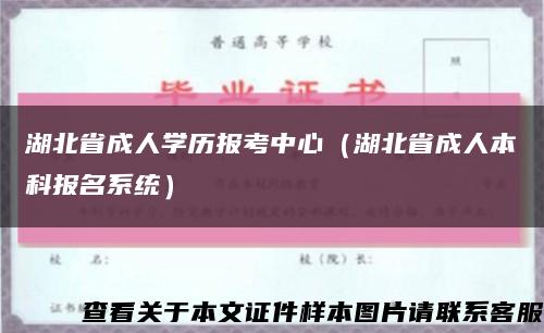 湖北省成人学历报考中心（湖北省成人本科报名系统）缩略图