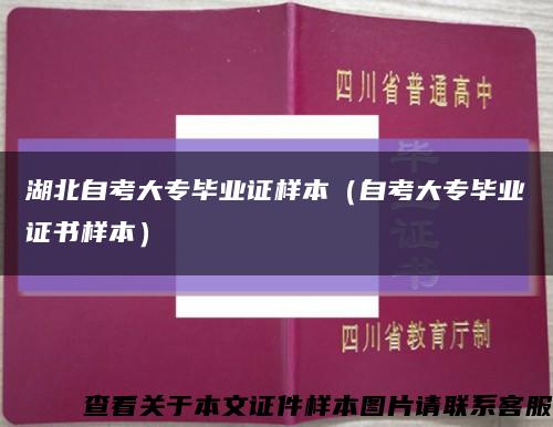 湖北自考大专毕业证样本（自考大专毕业证书样本）缩略图