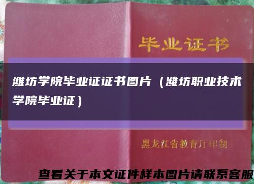 潍坊学院毕业证证书图片（潍坊职业技术学院毕业证）缩略图