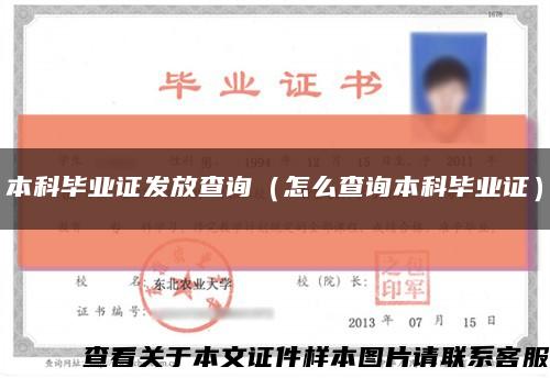 本科毕业证发放查询（怎么查询本科毕业证）缩略图