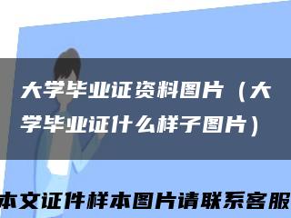 大学毕业证资料图片（大学毕业证什么样子图片）缩略图