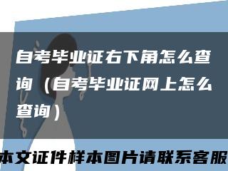 自考毕业证右下角怎么查询（自考毕业证网上怎么查询）缩略图