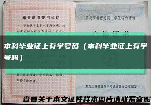 本科毕业证上有学号码（本科毕业证上有学号吗）缩略图