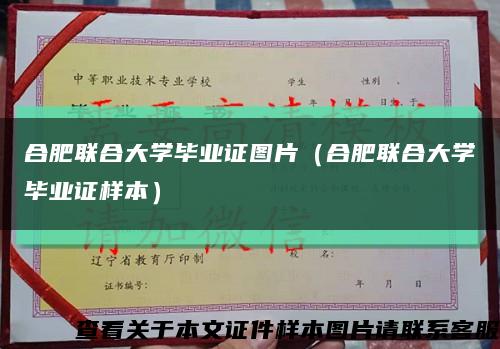 合肥联合大学毕业证图片（合肥联合大学毕业证样本）缩略图