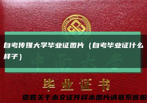 自考传媒大学毕业证图片（自考毕业证什么样子）缩略图