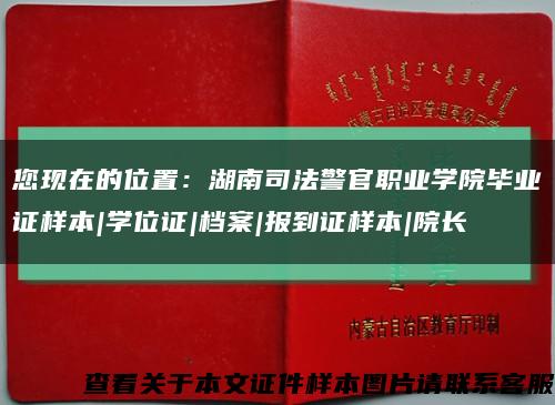 您现在的位置：湖南司法警官职业学院毕业证样本|学位证|档案|报到证样本|院长缩略图