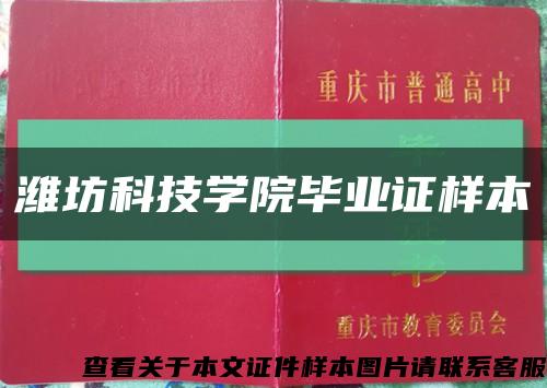 潍坊科技学院毕业证样本缩略图