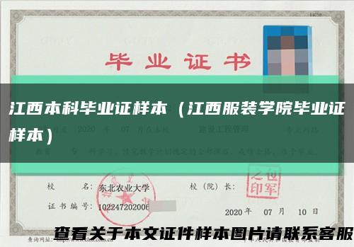 江西本科毕业证样本（江西服装学院毕业证样本）缩略图