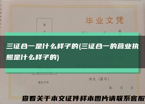 三证合一是什么样子的(三证合一的营业执照是什么样子的)缩略图