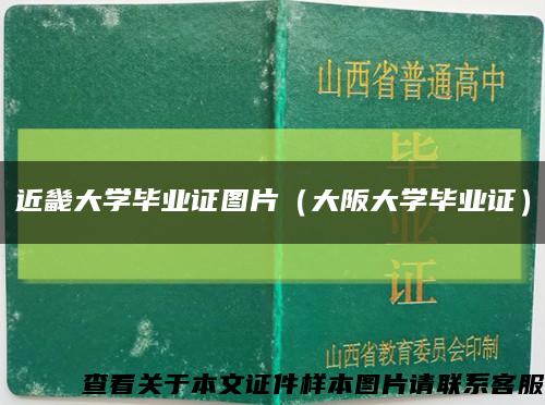 近畿大学毕业证图片（大阪大学毕业证）缩略图