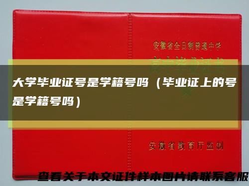 大学毕业证号是学籍号吗（毕业证上的号是学籍号吗）缩略图