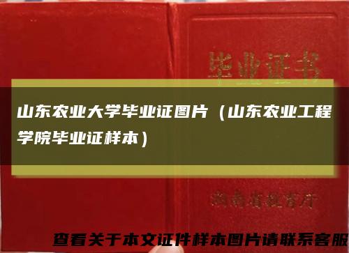 山东农业大学毕业证图片（山东农业工程学院毕业证样本）缩略图