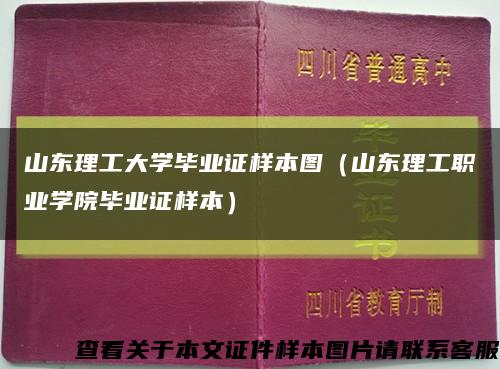 山东理工大学毕业证样本图（山东理工职业学院毕业证样本）缩略图