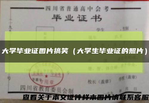 大学毕业证图片搞笑（大学生毕业证的照片）缩略图