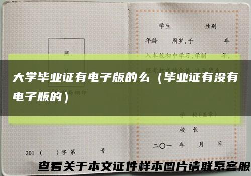 大学毕业证有电子版的么（毕业证有没有电子版的）缩略图