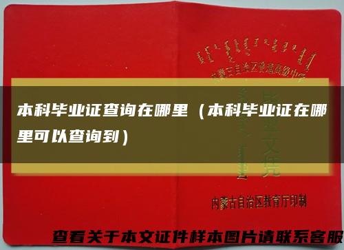 本科毕业证查询在哪里（本科毕业证在哪里可以查询到）缩略图