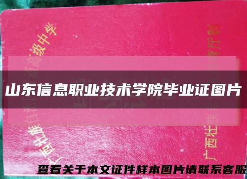 山东信息职业技术学院毕业证图片缩略图