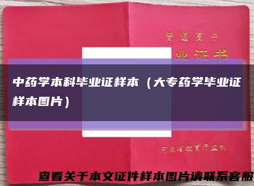 中药学本科毕业证样本（大专药学毕业证样本图片）缩略图