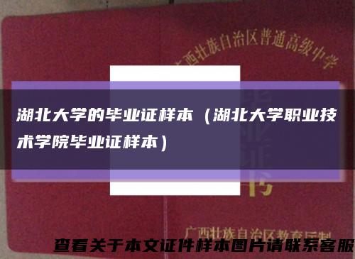 湖北大学的毕业证样本（湖北大学职业技术学院毕业证样本）缩略图