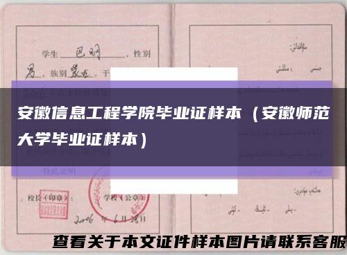 安徽信息工程学院毕业证样本（安徽师范大学毕业证样本）缩略图