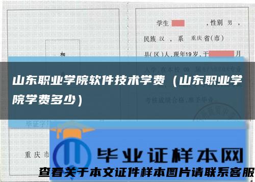 山东职业学院软件技术学费（山东职业学院学费多少）缩略图