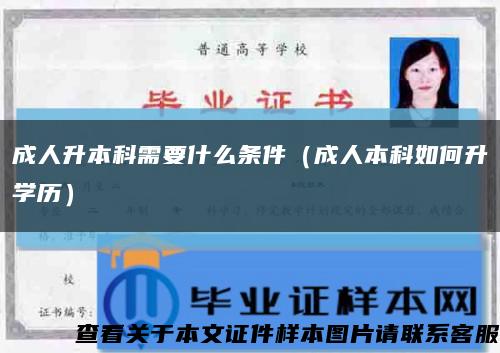 成人升本科需要什么条件（成人本科如何升学历）缩略图