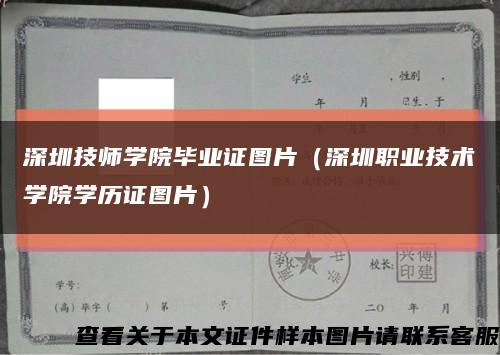 深圳技师学院毕业证图片（深圳职业技术学院学历证图片）缩略图