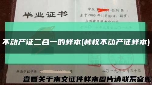 不动产证二合一的样本(林权不动产证样本)缩略图