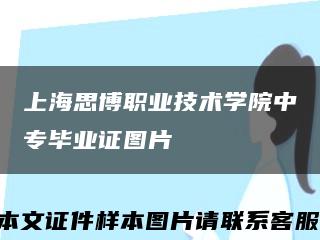 上海思博职业技术学院中专毕业证图片缩略图