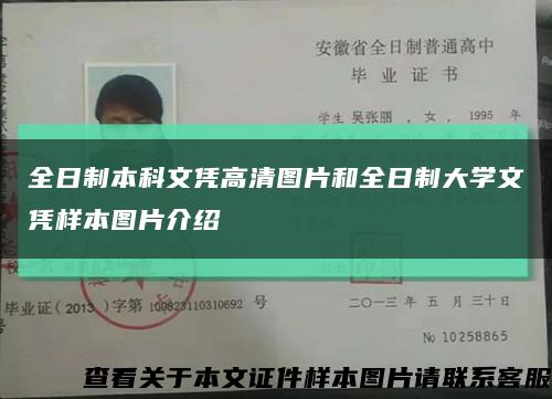 全日制本科文凭高清图片和全日制大学文凭样本图片介绍缩略图