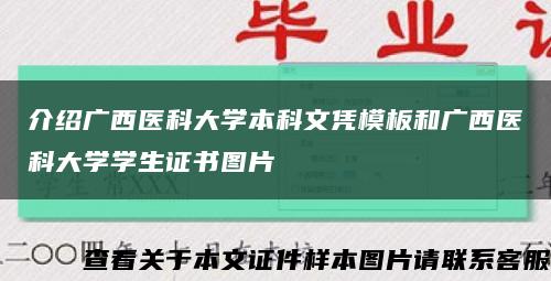 介绍广西医科大学本科文凭模板和广西医科大学学生证书图片缩略图