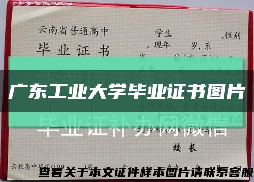 广东工业大学毕业证书图片缩略图