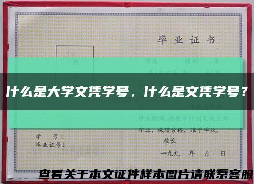 什么是大学文凭学号，什么是文凭学号？缩略图